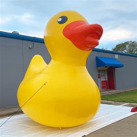 Image result for Deflating Inflatable Duck