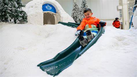 Play in the Snow 的图像结果