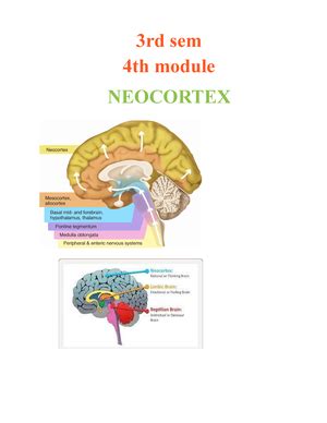 ECG and cardiac cycle Doc 5 - ECG - ELECTRO..CARDIO. ECG is the ...