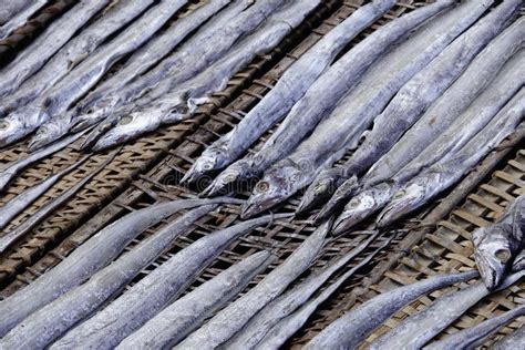 Image result for Example of Fish Using Dehydration Method