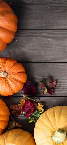 Iphone Xr Wallpaper Thanksgiving by Pumpkin Wallpapers For Iphone Them Now Iphone Xr Wallpaper Thanksgiving
