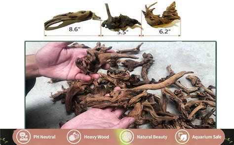 DEZIINE 1 Pcs Aquarium Driftwood 8 to 10Inch, Spider Wood Sinkable ...
