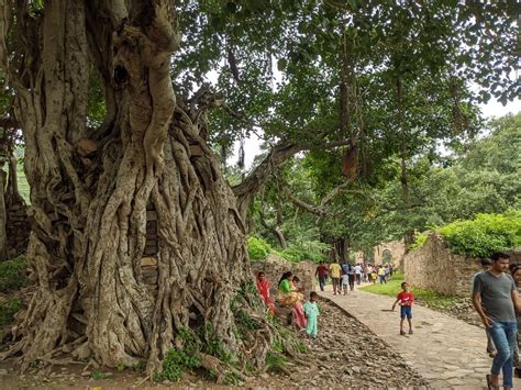Desperately searching for a ghost in 'India’s ‘most haunted’ Bhangarh ...