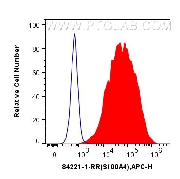 S100A4 antibody (84221-1-PBS) | Proteintech