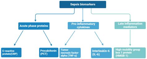 Challenges and Advances in Biomarker Detection for Rapid and Accurate Sepsis Diagnosis: An ...
