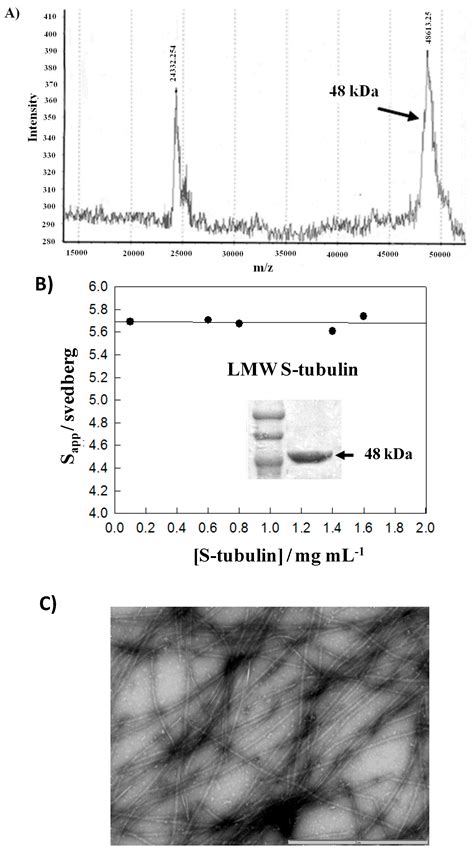 Quantitative Analysis of Tau-Microtubule Interaction Using FRET