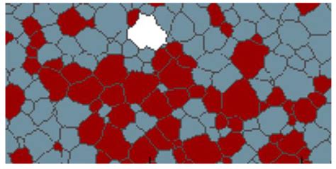Phase Field Modelling of Abnormal Grain Growth