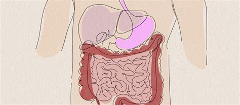 Blog | Relish Health