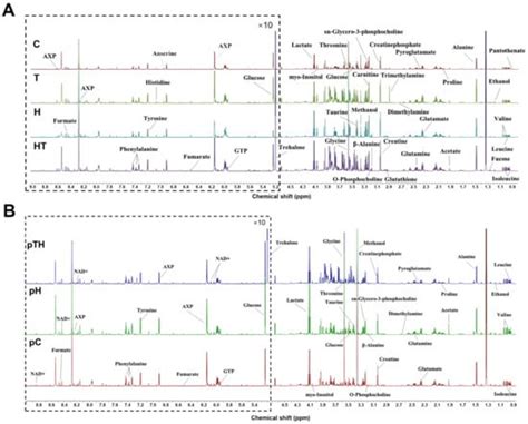 Metabolomic Analysis of Trehalose Alleviating Oxidative Stress in Myoblasts