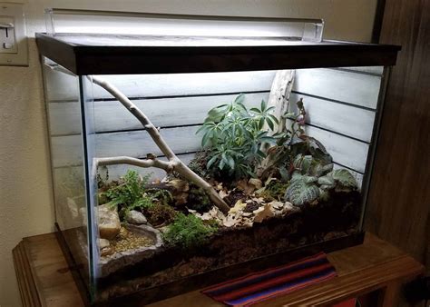 Image result for Terrarium Making111