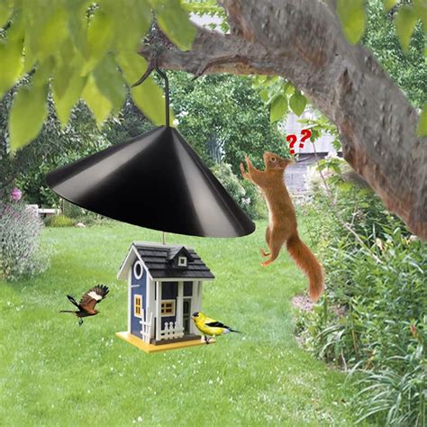 Amazon.com : 19 Inch Squirrel Proof Baffle, Squirrel Baffle for Bird ...