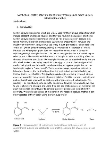 Formal Lab Report 的图像结果