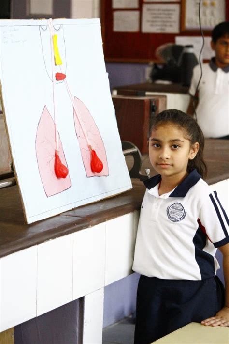 Science Model for Class 12 的图像结果