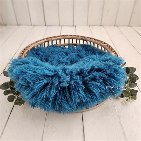 Curly fur- Teal – propskapitara