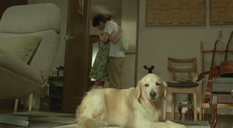 狗狗与我的十个约定(2008)日本_高清BT下载 - 下片网