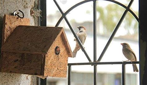 Buy Wooden Bird House at Best Price in India