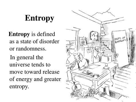 Entropy 的图像结果