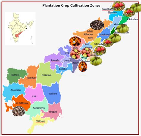 Horticulture Department