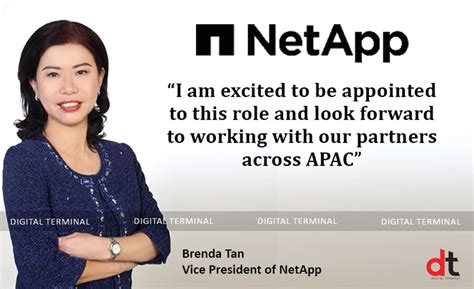 NetApp India, Channels Partner, Enterprises Solution,