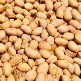 1 Kg Raw Peanuts-Groundnuts – Vintage Farmers