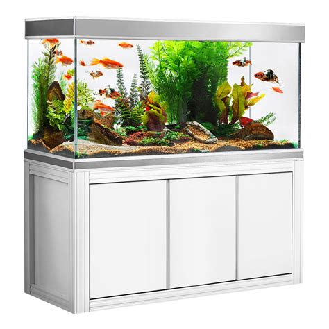 200 Gallon Aquarium
