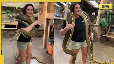 Image result for Python Fight Woman