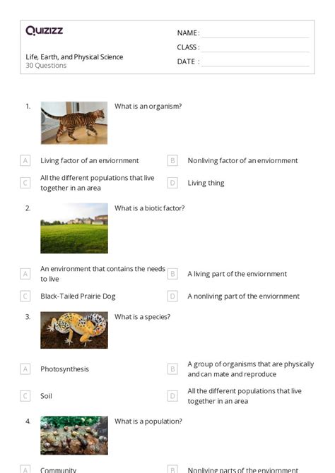 Image result for Physical Science Worksheets for Pre