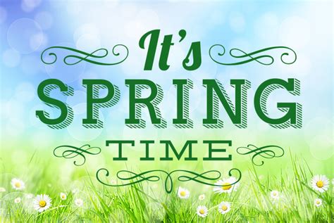 This Spring 的图像结果