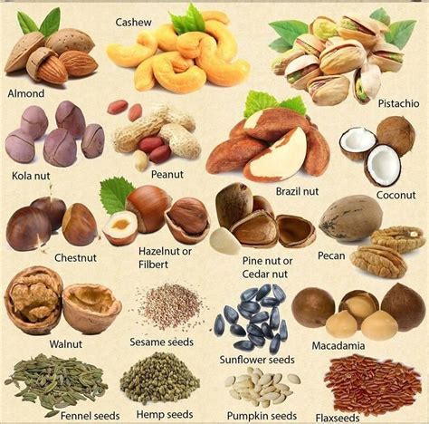 Nuts Types | Recipes Ambrosial