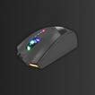 Image result for Mouse Conversion
