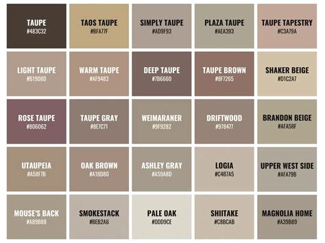What Color is Taupe? 25 Taupe Colors With Hex, RGB, & CMYK