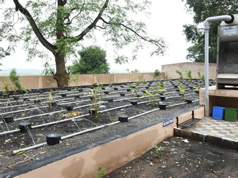 Shukaltirtha village treated the waste water for 1.97 crores and got ...