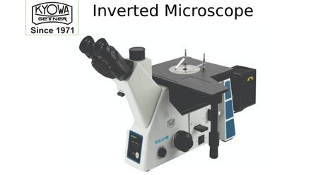 Image result for Inverted Light Microscope
