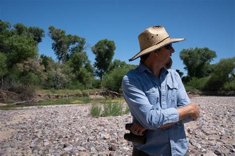 Hummingbird migration could help track health of San Pedro River