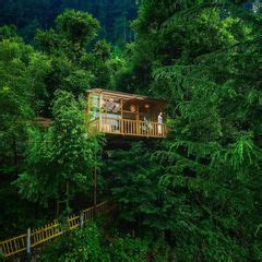 Delhi To Jibhi Travel Guide (2024) | Herzindagi