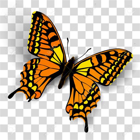 free monarch butterfly clipart 20 free Cliparts | Download images on ...
