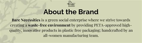 Buy Bare Necessities Honey Lip Balm With Shea Butter| Natural Honey ...