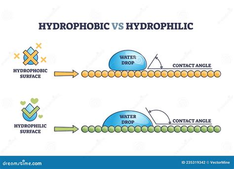 Hydrophilic And Hydrophobic Surface Vector Illustration | CartoonDealer ...