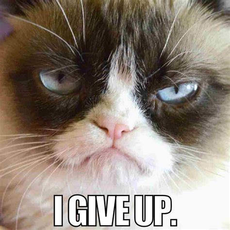 I Give Up Meme