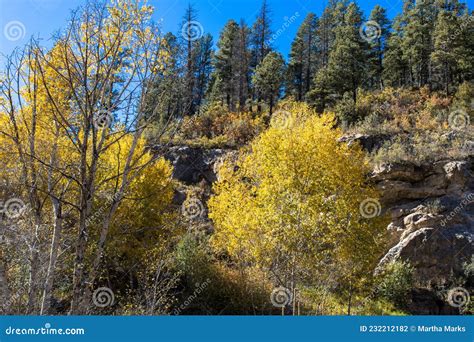 Pecos River Canyon State Park in New Mexico Stock Photo - Image of ...