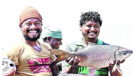 Mrigasira Karthi | Fish: మృగశిర కార్తె రోజు చేపలు ఎందుకు తింటారు? మీకు ...