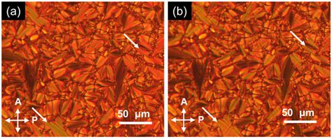 Cyanoterphenyl-Based Liquid Crystal Dimers Functionalized with a ...