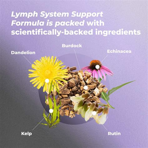 Lymph System Support Supplement | PureHealth Research