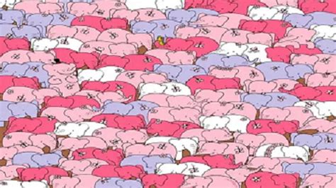 Optical Illusion: Spot the hidden heart among elephants in the picture ...