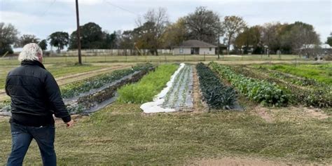 Vegetable Field Day at Whitehurst Farm, 6580 FM 332 Rd, Brenham, 9 May ...