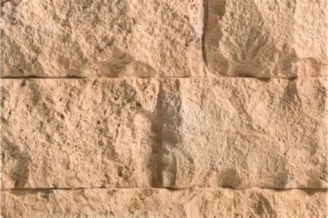 Купити Стінова панель FITWALL, MUR ROCK CREAM HORIZONTAL 326x129 ...