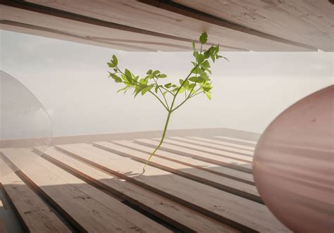 Generalist Species → Term