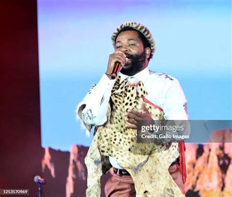 Image result for Sjava Winter Nights