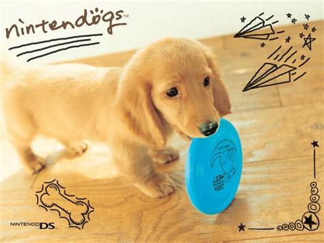 Nintendo cierra mañana varios servicios online de DS y Wii - Meristation