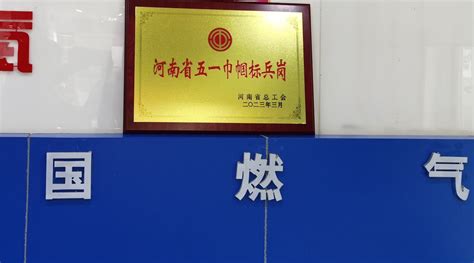 我校多名教师和基层党组织荣获河南省高等学校“两优一先”荣誉表彰-信阳学院